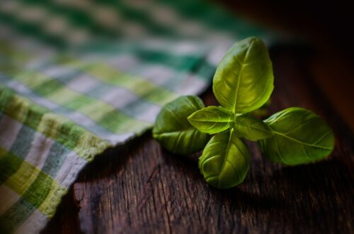 Najczęstsze pasożyty w Polsce – jak się przed nimi skutecznie chronić? 5 Naturalny Śląsk